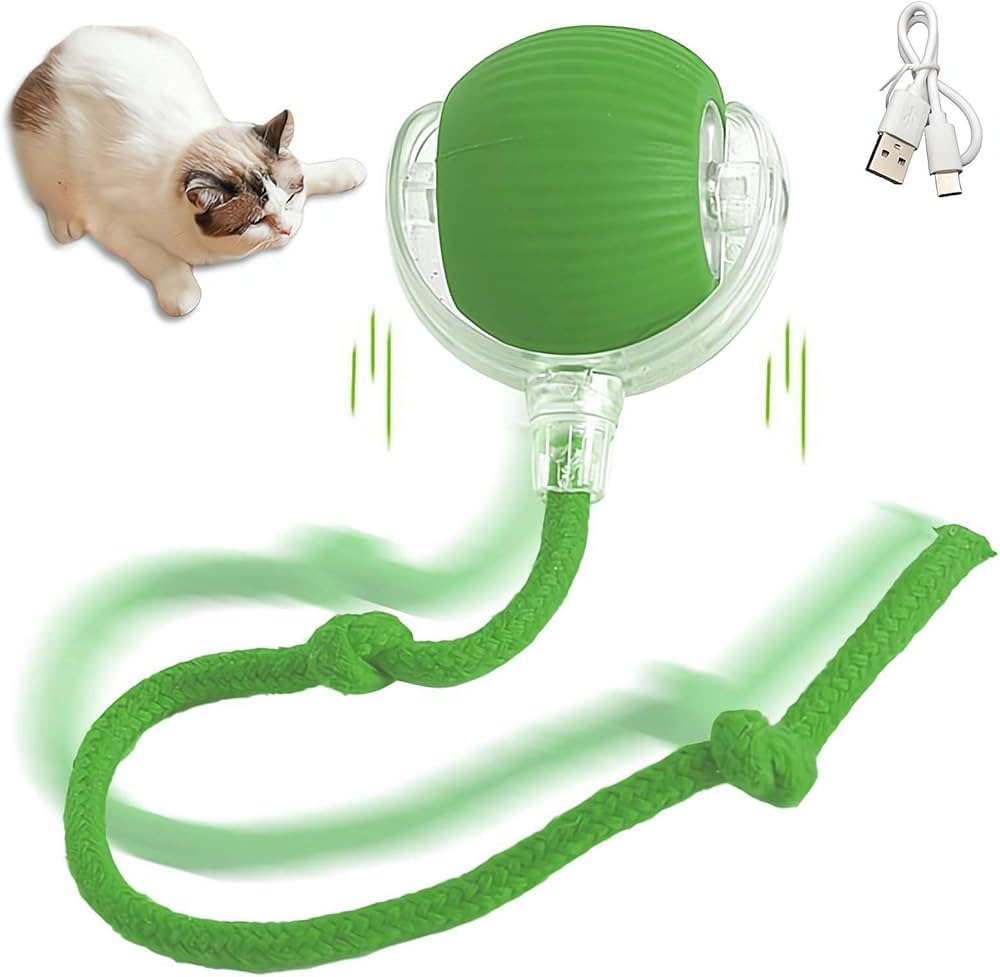 Spinball cat toy