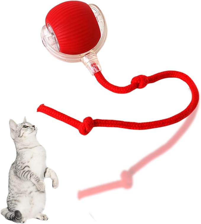 Spinball cat toy