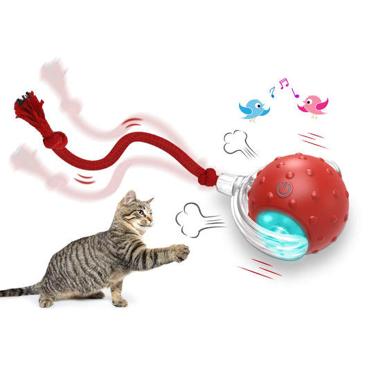 Spinball cat toy