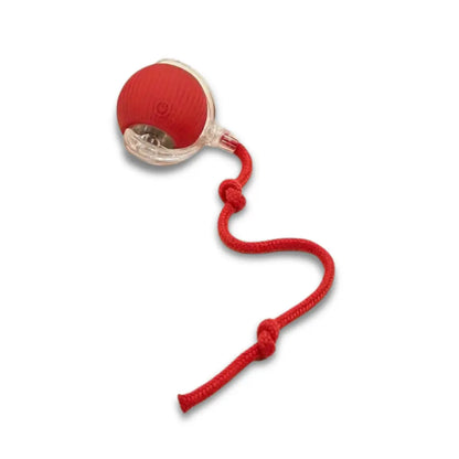 Spinball cat toy